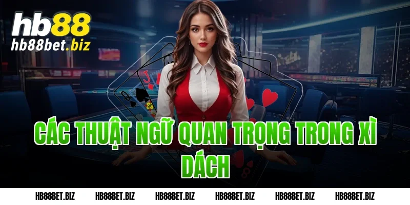 Các thuật ngữ quan trọng trong xì dách