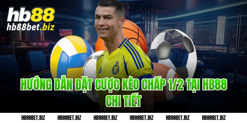 Hướng dẫn đặt cược Kèo chấp 1/2 tại HB88 chi tiết