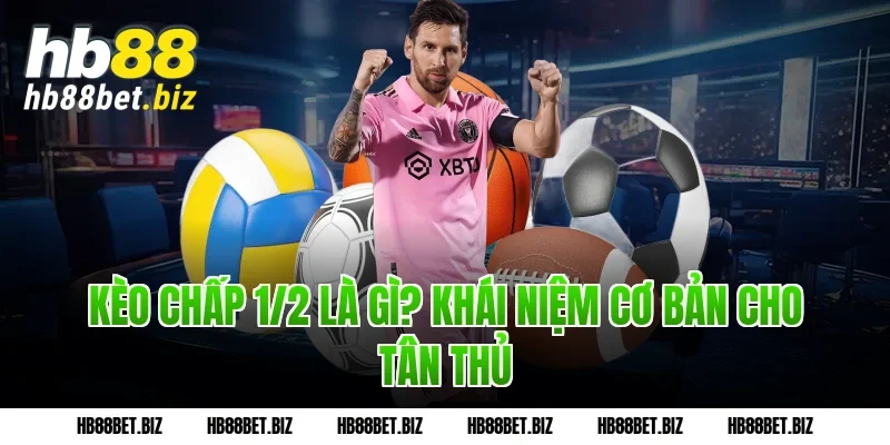 Kèo chấp 1/2 là gì? Khái niệm cơ bản cho tân thủ