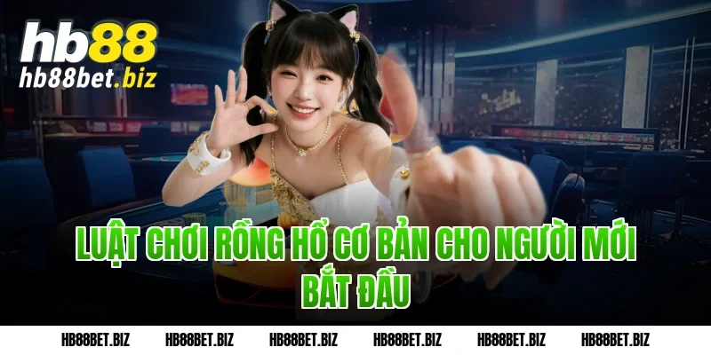 Luật chơi Rồng Hổ cơ bản cho người mới bắt đầu