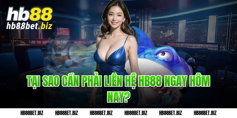 Tại Sao Cần Phải Liên Hệ HB88 Ngay Hôm Nay?