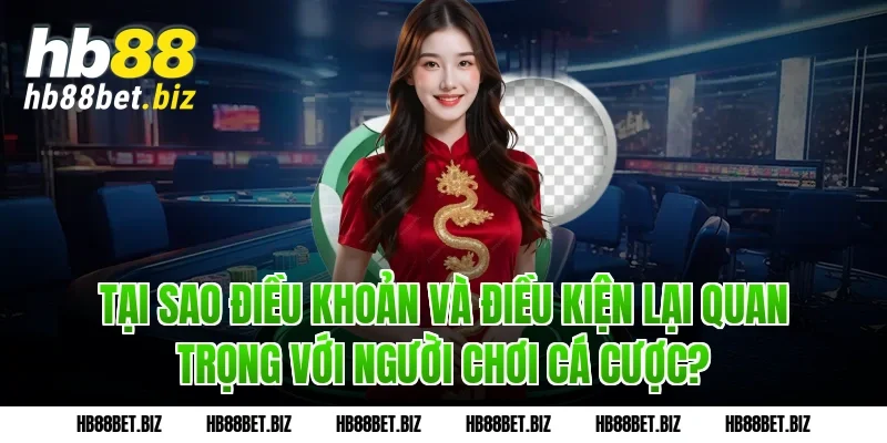 Tại sao điều khoản và điều kiện lại quan trọng với người chơi cá cược?