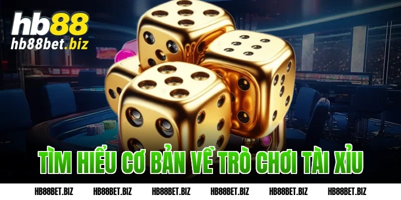 Tìm hiểu cơ bản về trò chơi tài xỉu